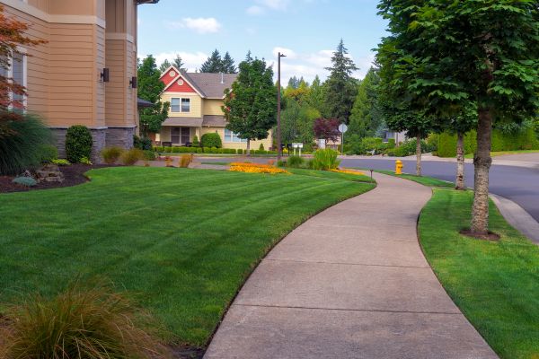 Sidewalk Patching in Sherman