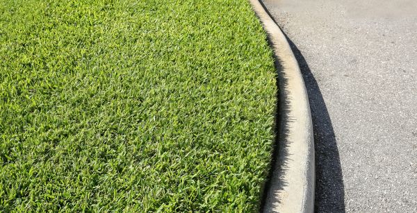 Driveway Curb Repair in Sherman